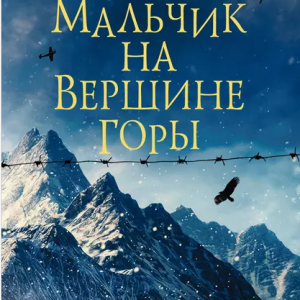 Мальчик на вершине горы (Джон Бойн)
