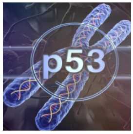 Ген Р53 (Юджиния Квант)
