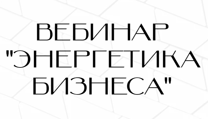 Энергетика бизнеса (Нина Веркойен)