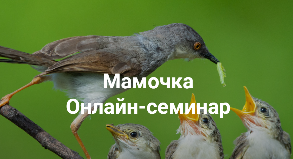 Мамочка (Елена Веселаго)