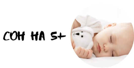 Сон на 5+ (Диана Баюнчикова)